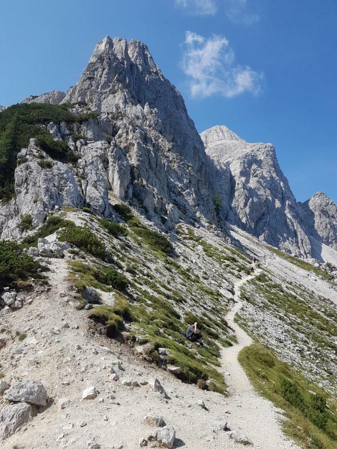 Apartments Smreka Kranjska Gora Eksteriør billede